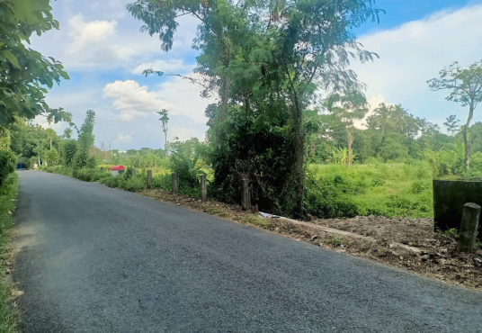 Tanah Losari Jakal km 12