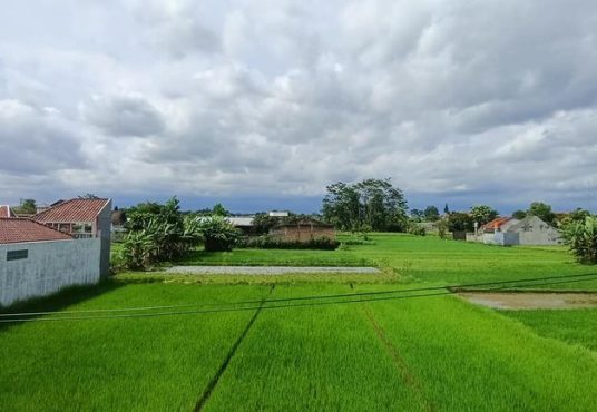 Villa Asri Bandara