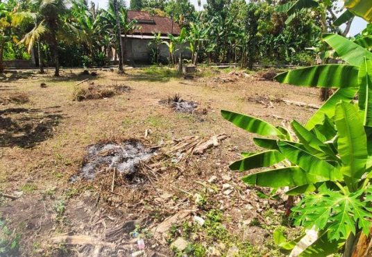 DIjual Tanah SHM Pekarangan di Kepek Wonosari