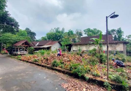 Tanah MURAH di Nangsri Manisrenggo