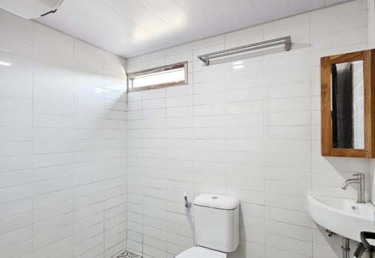 Kost Exclusive Demangan Baru