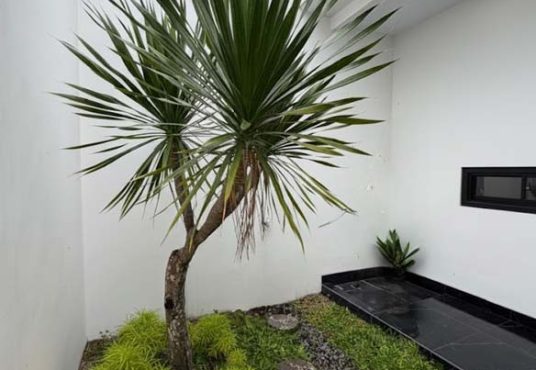 Rumah Mewah klasik modern dekat UII Jakal