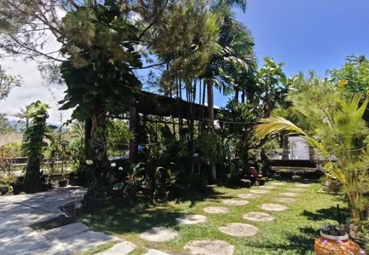 Rumah Joglo Tanah Luas Lingkungan Sejuk dan Asri di Jakal km 15 Bendosari Pakem