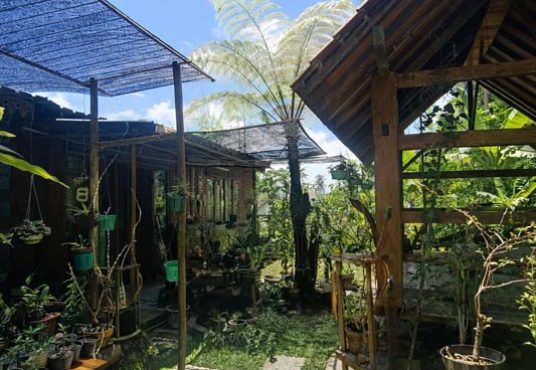 Rumah Joglo Tanah Luas Lingkungan Sejuk dan Asri di Jakal km 15 Bendosari Pakem