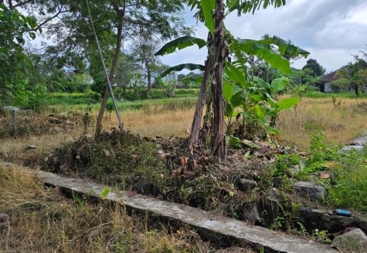 Dijual Tanah Pekarangan Murah Di Jalan Kaliurang Km 15 Sleman Yogyakarta