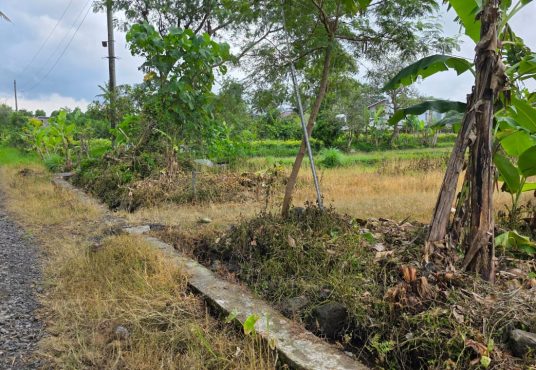 Dijual Tanah Pekarangan Murah Di Jalan Kaliurang Km 15 Sleman Yogyakarta