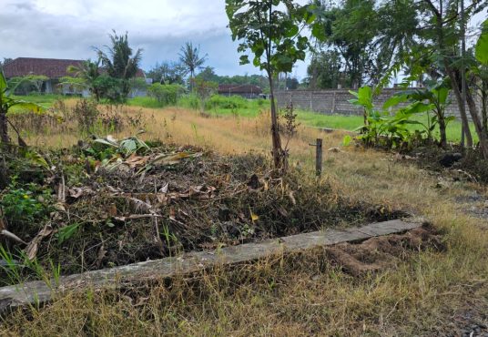 Dijual Tanah Pekarangan Murah Di Jalan Kaliurang Km 15 Sleman Yogyakarta
