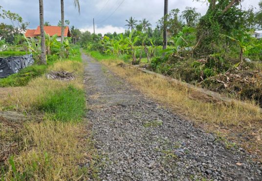 Dijual Tanah Pekarangan Murah Di Jalan Kaliurang Km 15 Sleman Yogyakarta