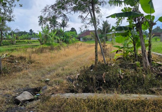 Dijual Tanah Pekarangan Murah Di Jalan Kaliurang Km 15 Sleman Yogyakarta