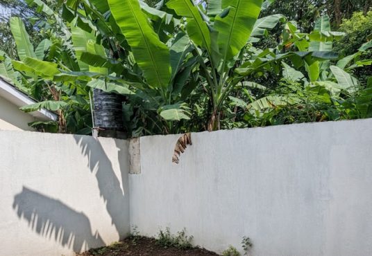 Graha Sejati 5 - Rumah Desain Mewah Harga Murah di Sleman Barat