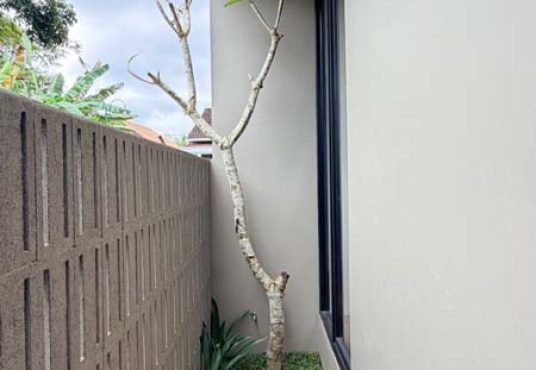 Rumah Baru Konsep Industrial Modern Dekat UGM & UII