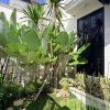 RUMAH MEWAH AMERICAN CLASSIC PURWOMARTANI
