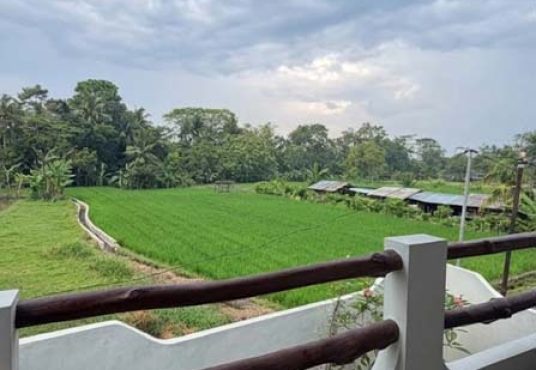 VILLA VIEW SAWAH FULL FURNISHED JAKAL KM 11