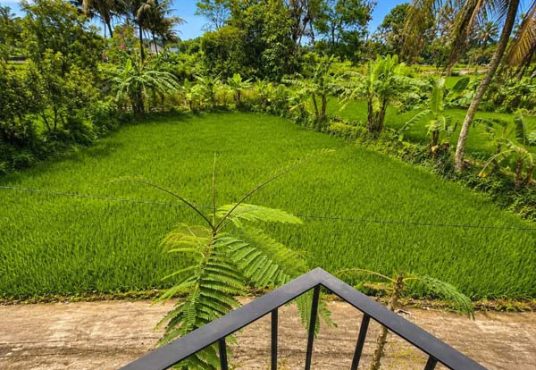 FOR SALE – VILLA PRIVATE POOL JALAN PALAGAN KM 14 SLEMAN YOGYAKARTA