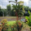 Rumah dijual di CITRA SUN GARDEN YOGYAKARTA