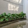 Rumah Baru Limasan Modern Jakal km 13 Dekat Kampus UII