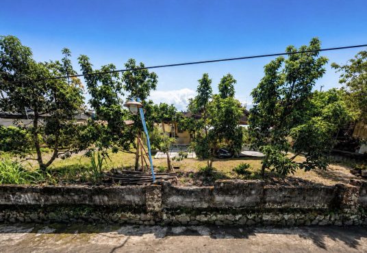 Tanah Pekarangan di Seyegan Strategis Tepi Aspal Cocok untuk Hunian