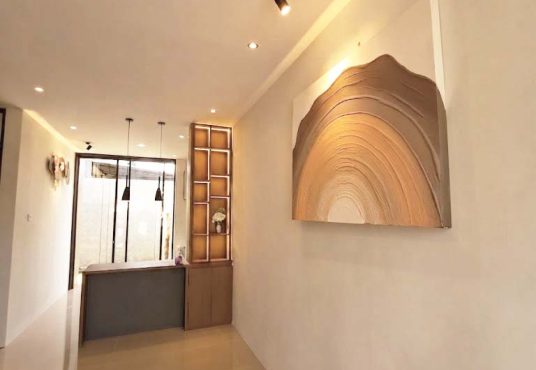 Rumah Modern Limasan Full Furnished di Margomulyo Seyegan