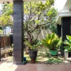 Rumah Mewah Dijual di Kotagede Yogyakarta