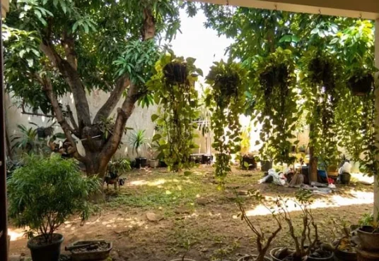 Rumah Mewah Dijual di Kotagede Yogyakarta