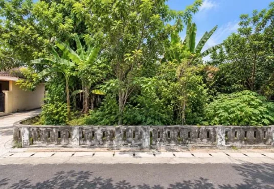 Tanah SHM Pekarangan 238 m2 LD 17 dalam Ringroad dekat Kampus ALMA ATA dan UMY