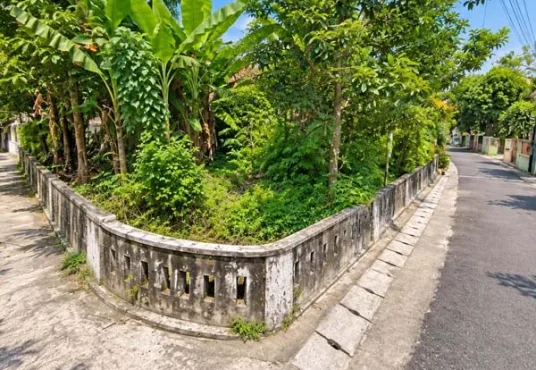 Tanah SHM Pekarangan 238 m2 LD 17 dalam Ringroad dekat Kampus ALMA ATA dan UMY